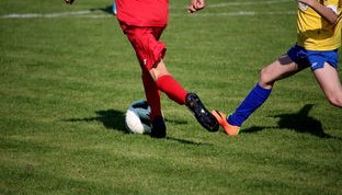 开云app下载教程-国家体育场馆运营管理论坛探讨智能化方向，国家体育总局体育场馆运营管理办法