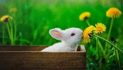 开云官网入口地址-杨瀚森不断挑战自我突破身体极限,杨瀚森 篮球